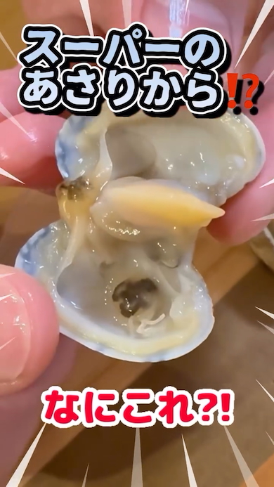 アサリの中にカニがいた