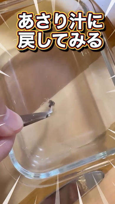 アサリの中にカニがいた