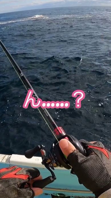 手袋を着けて釣りをしていると右手に違和感を覚えた投稿者