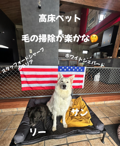 お掃除が楽になる高床ベッド