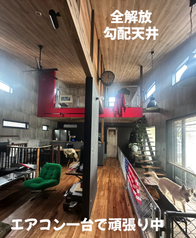 開放的な空間を演出