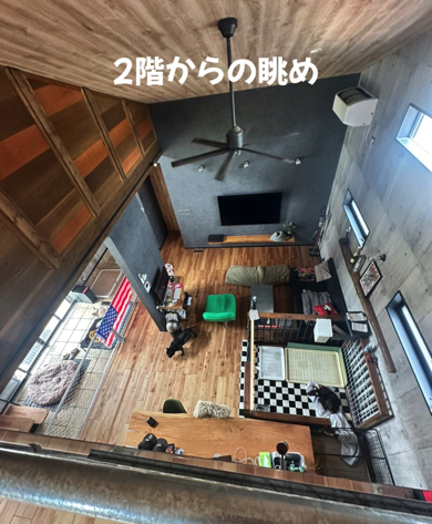 人にもワンコにも最高すぎる居住スペース