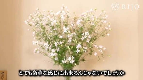花瓶に生けたデルフィニウム