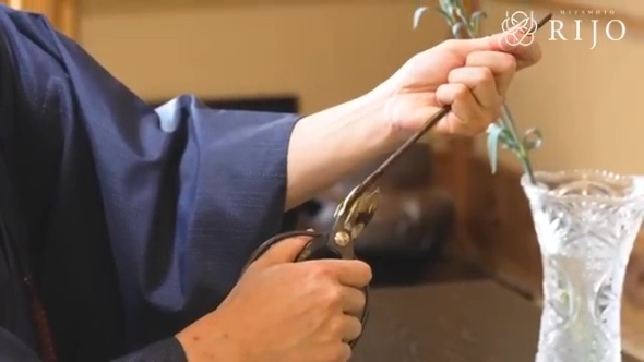 枝に切り込みを入れる男性