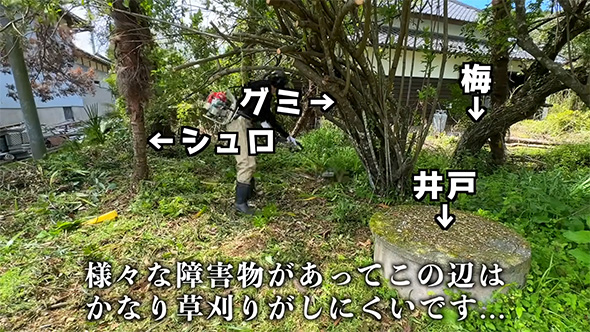 さまざまな障害物が