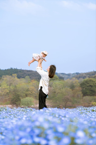 ネモフィラの中の妻と娘