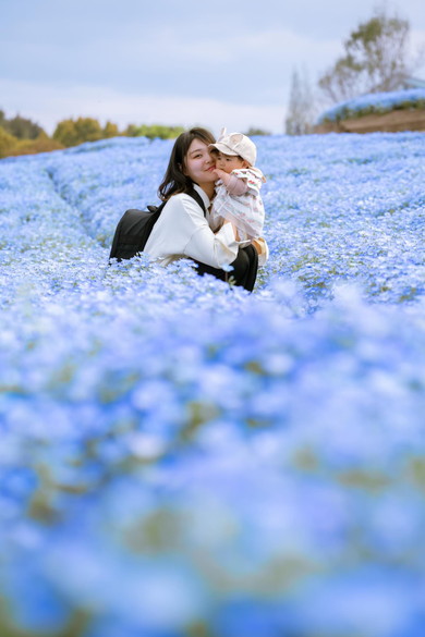 ネモフィラの中の妻と娘