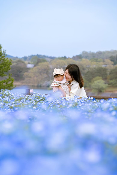 ネモフィラの中の妻と娘