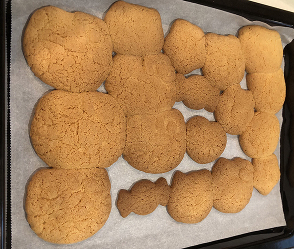 有象無象が癒着したクッキー