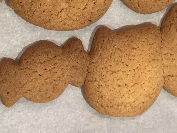 有象無象が癒着したクッキー