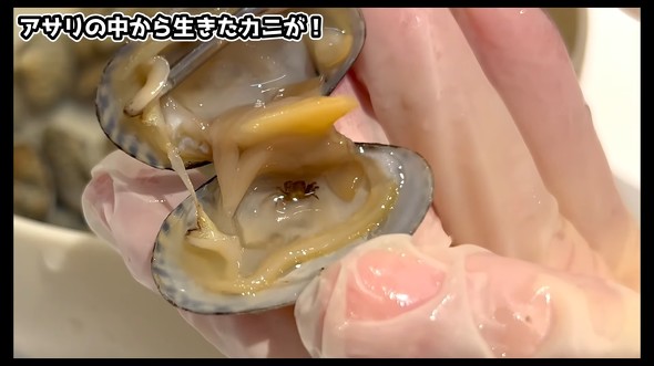 アサリの中にいるカニ