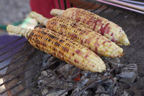 夏野菜のグリル01