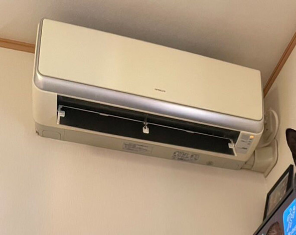 テレビモニターの前に並ぶ猫ちゃん3匹