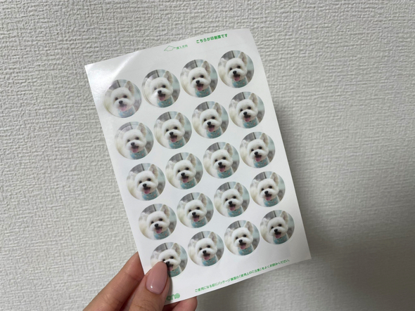トリミングサロンで帰りにもらったシール
