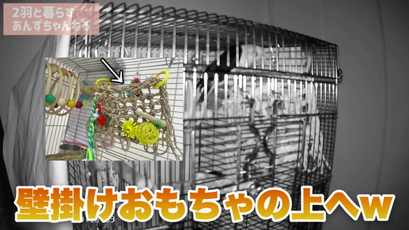 壁掛けおもちゃの上へ