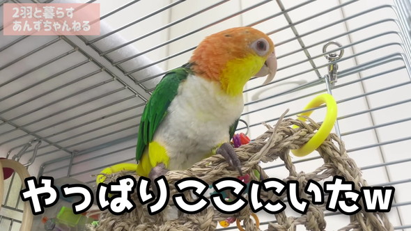 朝やっぱりここにいた