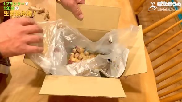長期保存のため段ボール箱内のレジ袋にしまう様子