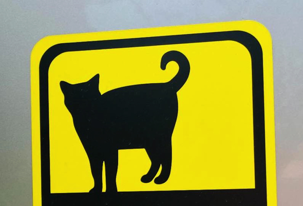 猫ちゃんが描かれたカーステッカー