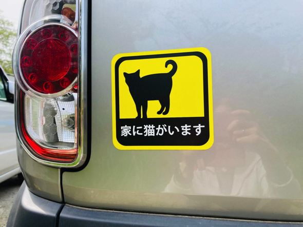 まさかの「家に猫がいます」