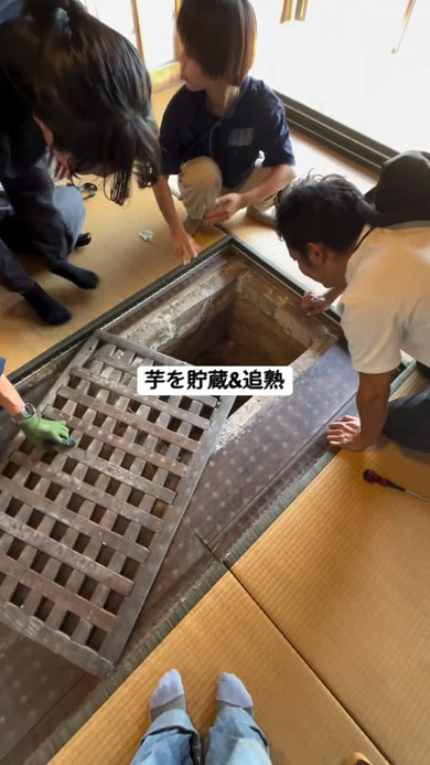 芋蔵
