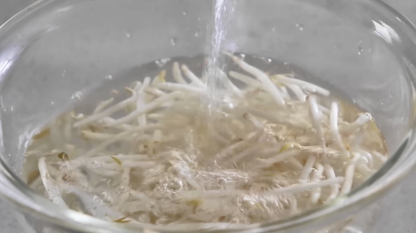 もやしの保存方法