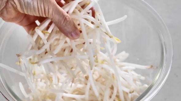 もやしの保存方法