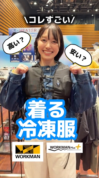 ワークマンのペルチェベストプロ2