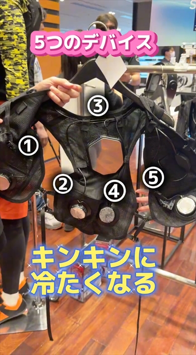 ワークマンのペルチェベストプロ2