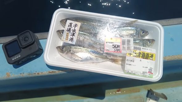 スーパーで購入した50円のアジ