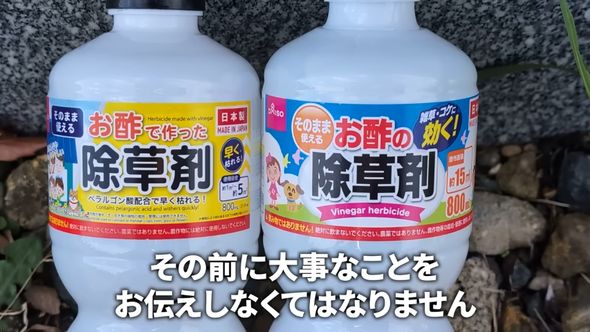 ダイソーで販売されている2種類の除草剤