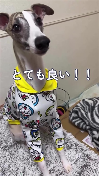 リメイクまとめ記事