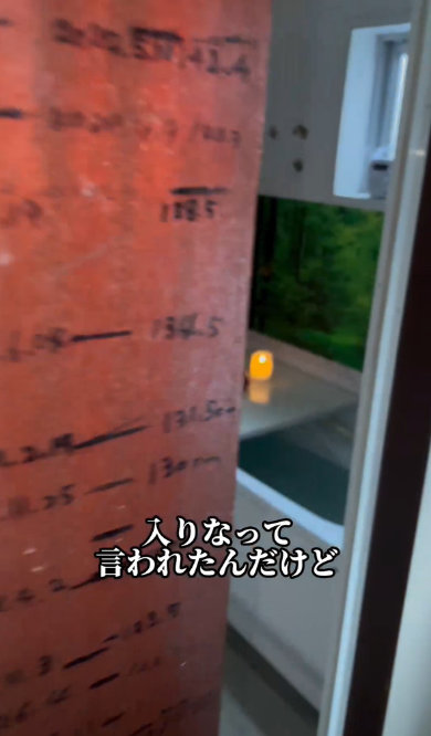 母 お風呂 超リラックス きのこ 特殊 森林浴 カヤック目線 改造 個性的 インテリア