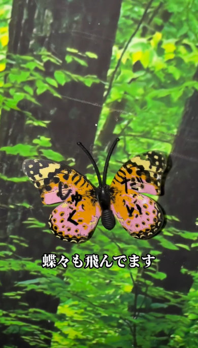 母 お風呂 超リラックス きのこ 特殊 森林浴 カヤック目線 改造 個性的 インテリア