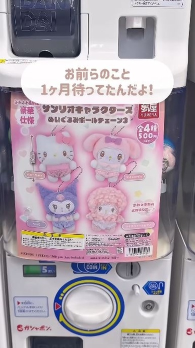 「お前らのこと1カ月待ってたんだよ！」待望のカプセルトイに感動