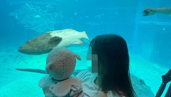 思い出の写真