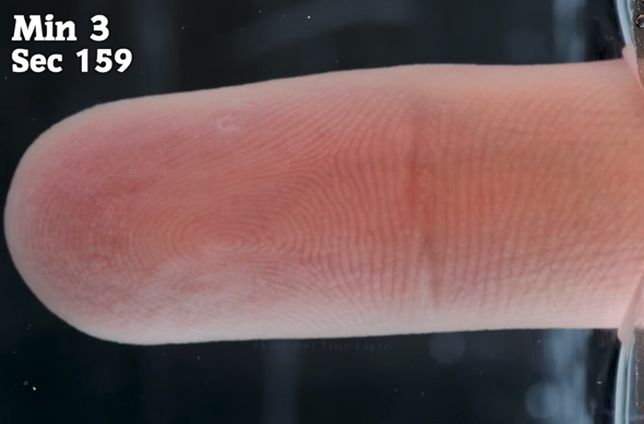 90分水に浸したしわしわの指