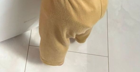 空気清浄機にトミカを入れる男の子
