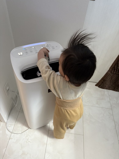 空気清浄機にトミカを入れる男の子