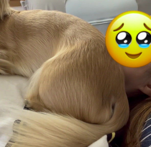 お尻密着アップ