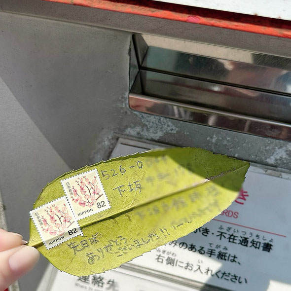 葉書