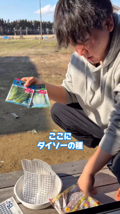 余ったダイソー水切り袋でニラ栽培活用 
