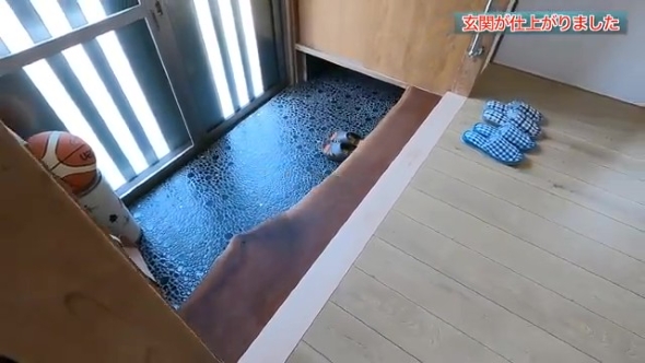 リフォーム後の玄関ホール