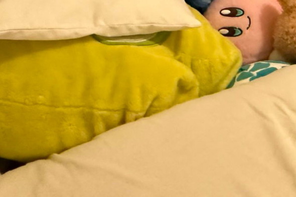 ベッドの上に乗っているぬいぐるみ