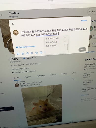 ハムスター「とんかつ」くんの投稿