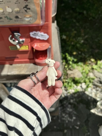 陶器のブローチガチャガチャを回したら