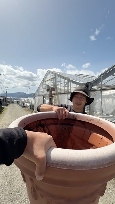 プロが多肉植物で寄せ植えを作る様子