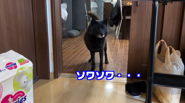 お部屋の前でソワソワする一休さん