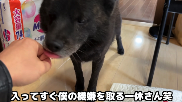 ルールを破りパパさんのご機嫌をとります