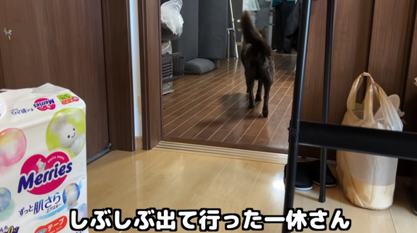 しぶしぶ退出