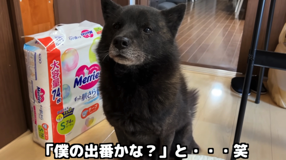 何度も交渉を試みる一休さん